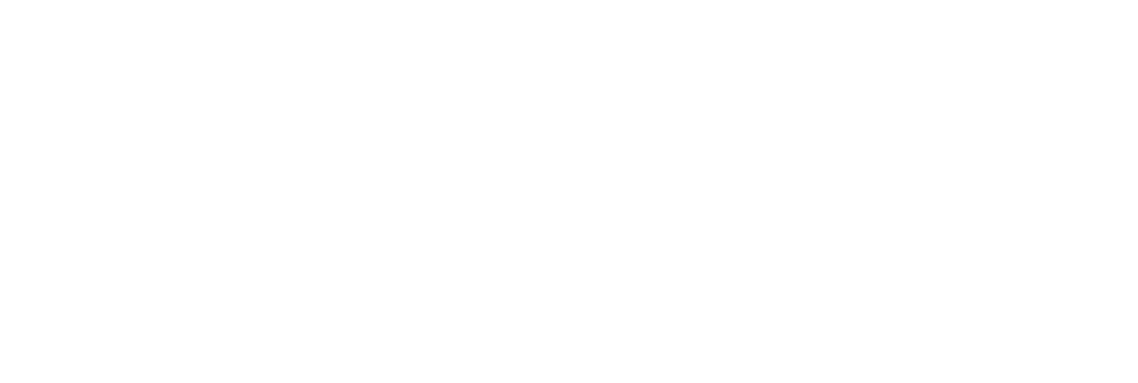 Universidad de la Vida